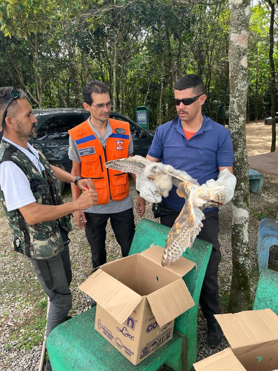 corujas-sao-resgatadas-pela-defesa-civil-de-caruaru