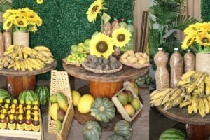 prefeitura-de-brejinho-anuncia-investimento-de-r$-174-mil-na-agricultura-familiar