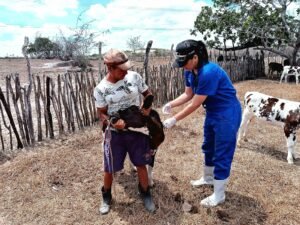 pernambuco-antecipa-campanha-de-vacinacao-contra-a-febre-aftosa