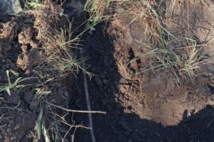 gravata:-compesa-flagra-desvio-de-agua-em-condominio-na-serra-do-maroto