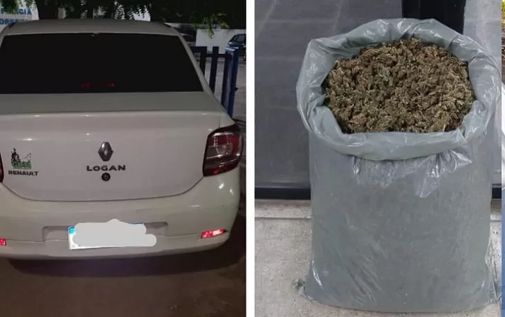 policia-apreende-mais-de-11-kg-de-maconha-em-floresta