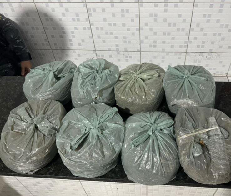 cerca-de-8kg-de-maconha-apreendidos-em-caruaru