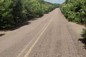 governo-ignora-manutencao-de-estradas-em-st-e-facilita-acidentes