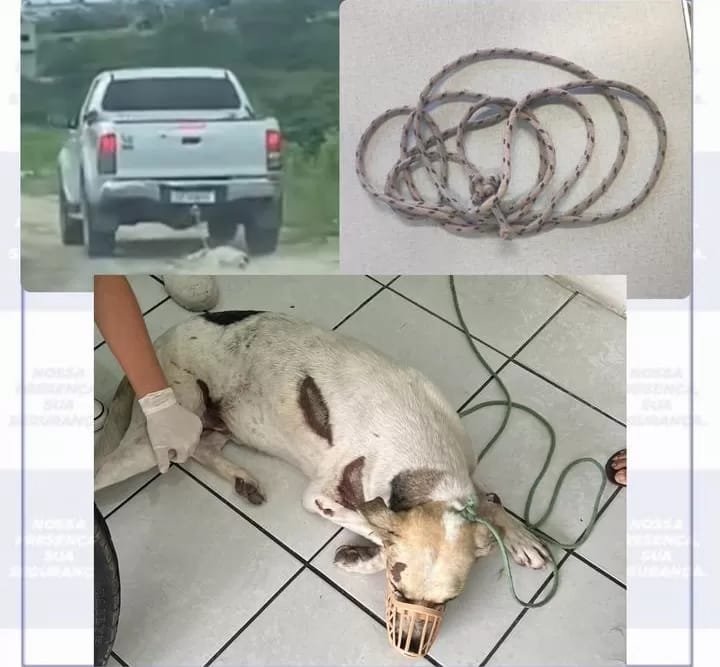 policia-civil-identifica-e-prende-homem-que-arrastou-cachorro-na-br-424-em-caetes,-pe