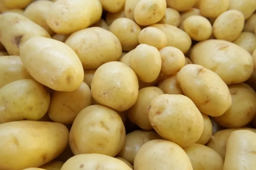 ipca:-precos-sobem-0,46%-em-maio-com-alta-forte-dos-alimentos