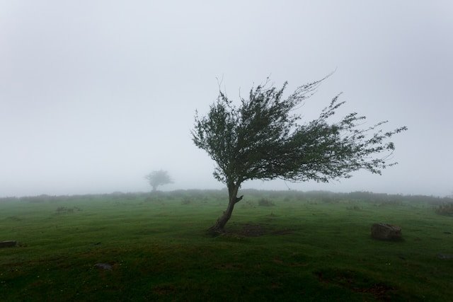 inmet-emite-alerta-de-vendaval-para-sete-estados-do-nordeste;-pernambuco-esta-entre-eles