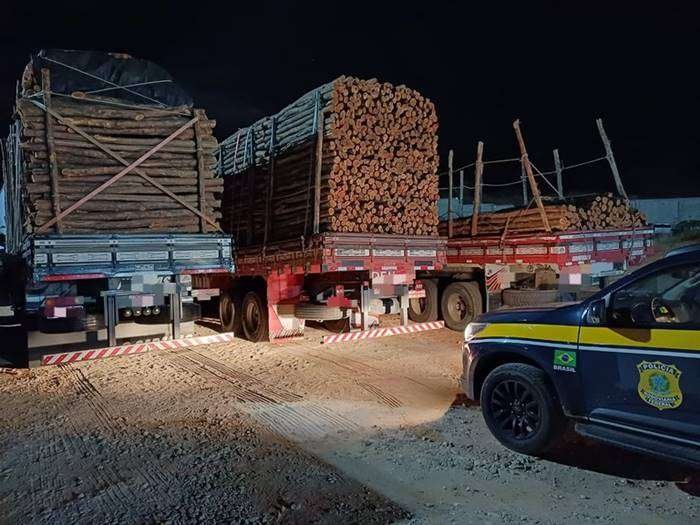 prf-apreende-carga-irregular-de-madeira-em-salgueiro