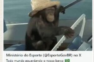 ministerio-do-esporte-publica-post-racista-contra-os-brasileiros!-com-macaco-pilotando-o-barco.-como-se-fosse-a-delegacao-nacional-em-paris