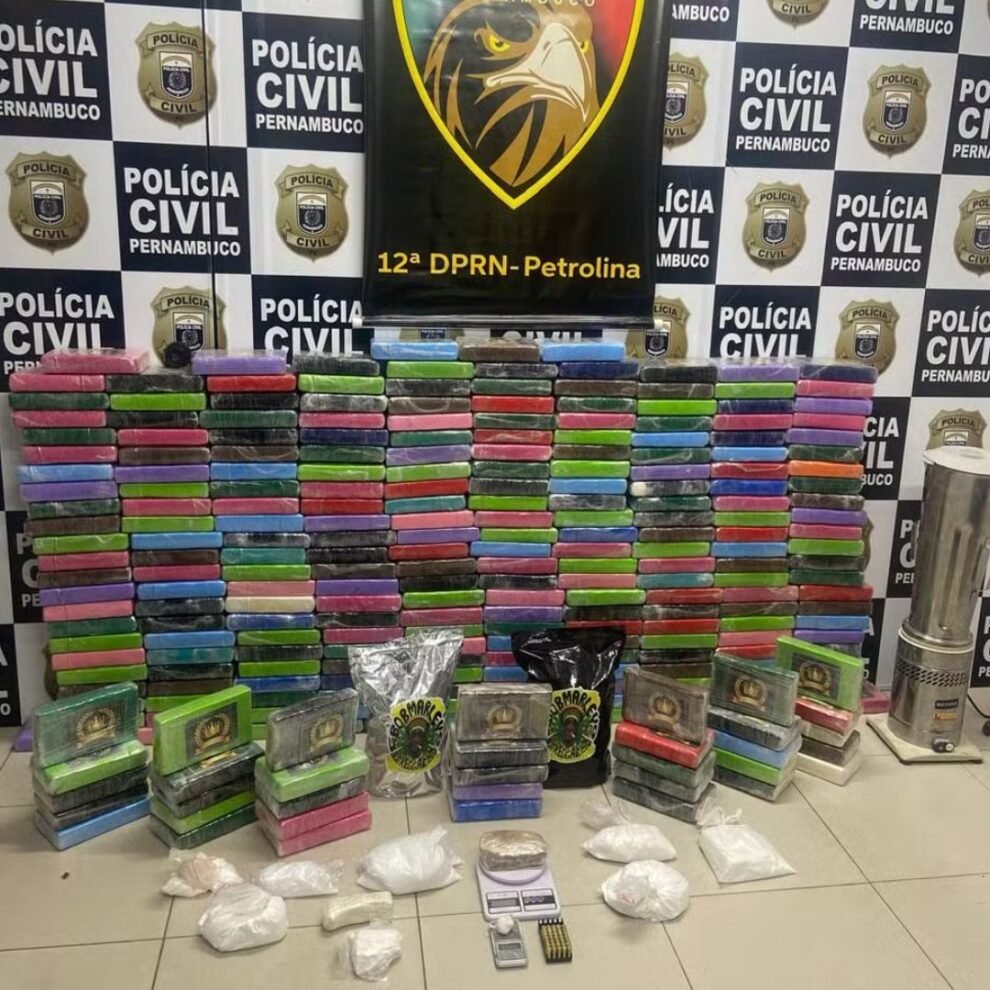 policia-civil-apreende-quase-300-kg-de-cocaina-em-serra-talhada