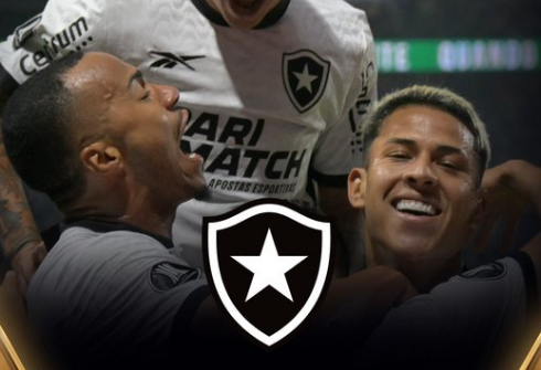 botafogo-segura-empate-com-palmeiras-e-avanca-na-copa-libertadores