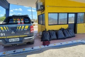 sertania:-prf-apreende-quase-160-kg-de-maconha-transportada-em-caminhonete