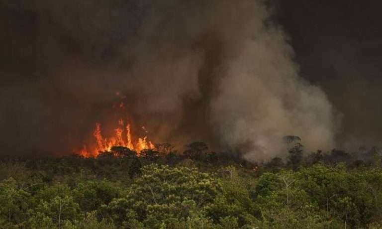 pais-tem-22,38-milhoes-de-hectares-atingidos-pelo-fogo-em-9-meses