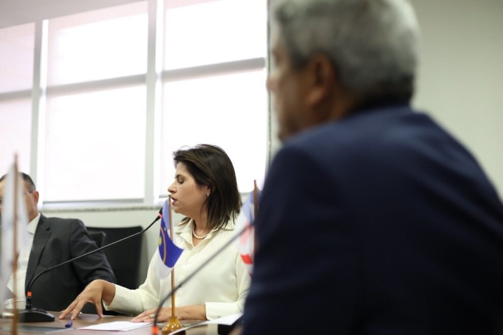 priscila-krause-defende-o-debate-da-pec-da-seguranca-publica-como-um-projeto-de-nacao