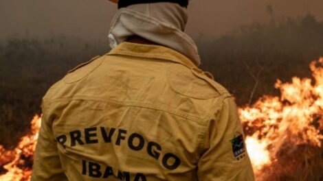 ibama-lanca-edital-de-selecao-com-vagas-para-serra-talhada