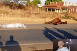 animal-na-pista-tira-a-vida-de-jovem-de-21-anos-em-sao-jose-do-egito