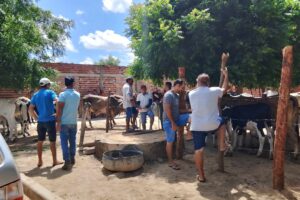 carnaiba:-moradores-de-novo-pernambuco-se-revoltam-com-prefeitura-que-tirou-caixa-de-abastecimento-de-agua-da-comunidade