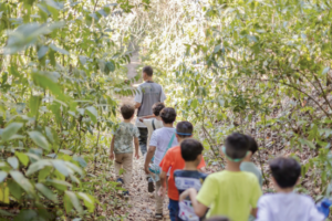 diversao-e-aprendizado:-confira-as-melhores-atracoes-para-as-ferias-escolares-em-pernambuco