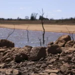 governo-de-pernambuco-decreta-situacao-de-emergencia-em-117-cidades-por-escassez-de-chuvas;-14-cidades-do-pajeu-e-arcoverde-incluidas