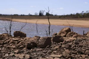 governo-de-pernambuco-decreta-situacao-de-emergencia-em-117-cidades-por-escassez-de-chuvas;-14-cidades-do-pajeu-e-arcoverde-incluidas