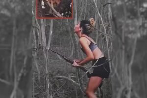 e-do-rio-mulher-que-matou-onca-parda-crime-ocorreu-no-piaui.-multa-de-r$-20-mil