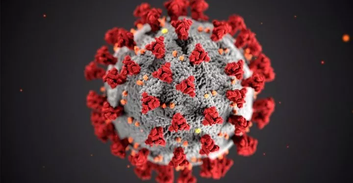 pernambuco-confirma-primeira-morte-por-covid-em-2025