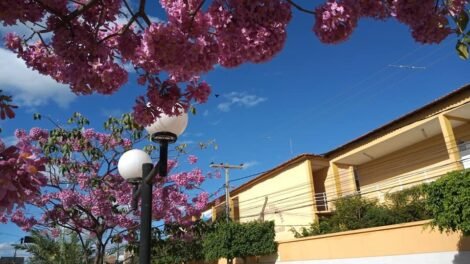 docentes-da-aeset-desmascaram-diretores-diante-atraso-de-salarios