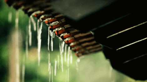 janeiro-chuvoso-em-santa-terezinha,-267,5-de-chuva.