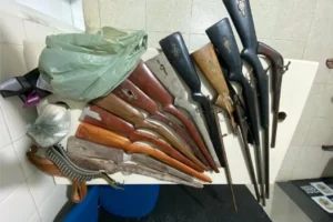 mulger-e-atingida-por-disparo-acidental-e-policia-apreende-arsenal-em-belo-jardim