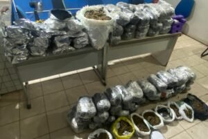 quase-100kg-de-maconha-apreendidos-no-agreste-pernambucano