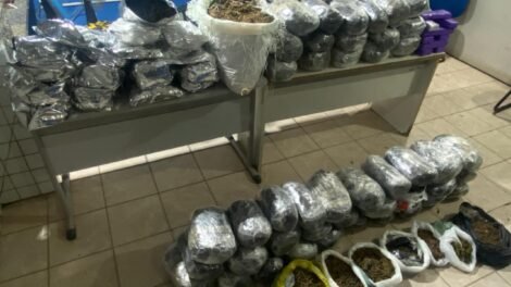 quase-100kg-de-maconha-apreendidos-no-agreste-pernambucano