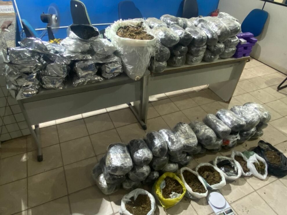 quase-100kg-de-maconha-apreendidos-no-agreste-pernambucano