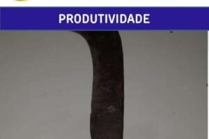 homem-furioso-destroi-moto-a-golpes-de-foice-em-triunfo