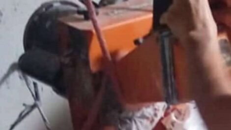 quixaba:-ladroes-roubam-forrageira-na-caicara-dos-fernandes