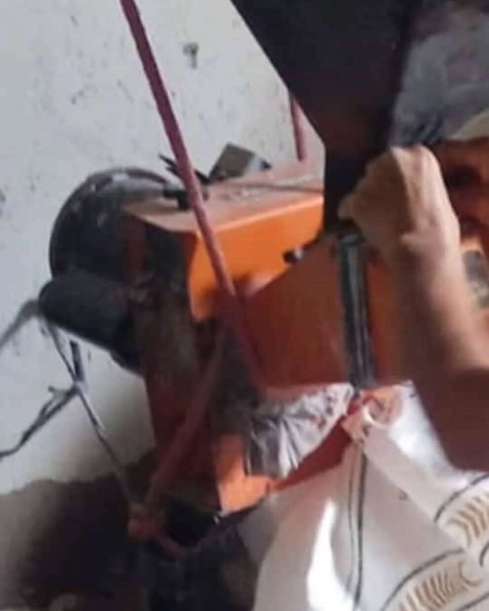 quixaba:-ladroes-roubam-forrageira-na-caicara-dos-fernandes