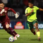 bragantino-x-palmeiras:-veja-retrospecto-das-duas-equipes