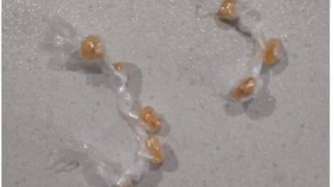 homem-e-detido-por-suspeita-de-trafico-de-drogas-em-serra-talhada