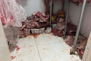 amvs-apreende-em-petrolina-mais-de-100-kg-de-carne-impropria-para-consumo
