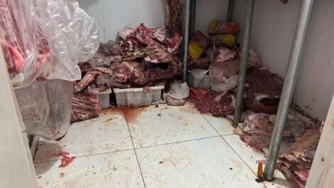 amvs-apreende-em-petrolina-mais-de-100-kg-de-carne-impropria-para-consumo