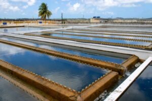 compesa-retoma-distribuicao-de-agua-apos-fortes-chuvas