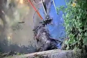 corpo-de-homem-e-encontrado-em-canal-proximo-ao-estadio-do-santa-cruz