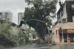 chuva-devastadora-no-grande-recife:-mortes-tragicas-e-destruicao-assustam-moradores