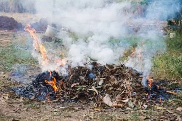 moradores-denunciam-queimadas-frequentes-no-bairro-aabb,-em-serra-talhada