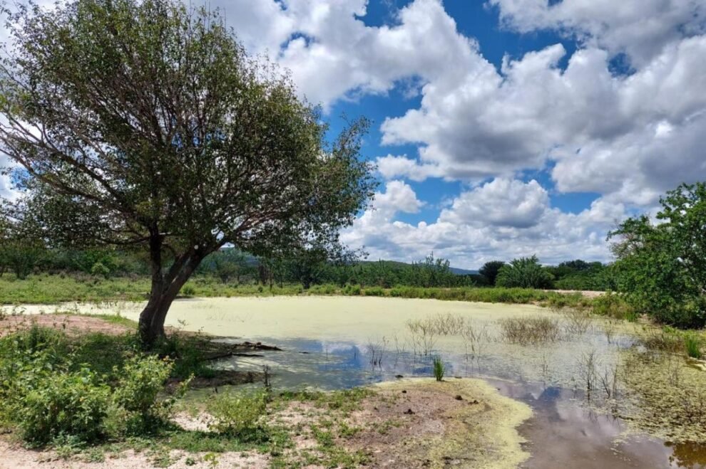 gestao-ambiental-municipal-e-a-emergencia-climatica-no-semiarido