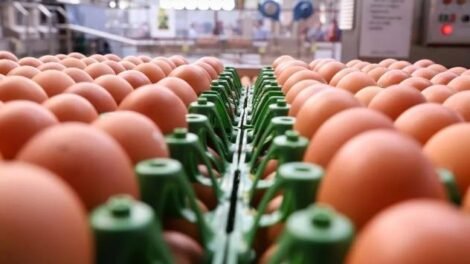 saiba-por-que-o-preco-do-ovo-disparou-ate-40%-em-apenas-uma-semana