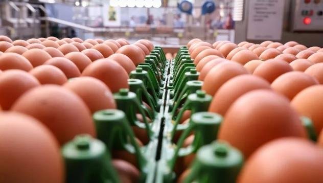 saiba-por-que-o-preco-do-ovo-disparou-ate-40%-em-apenas-uma-semana