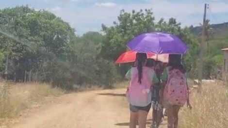 criancas-da-zona-rural-de-st-caminham-7-km-a-pe-para-chegar-na-escola