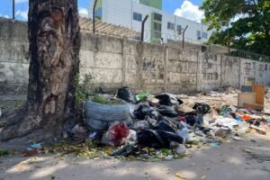 bebe-abandonada-no-recife-foi-encontrada-em-area-que-tem-ratos-e-escorpioes