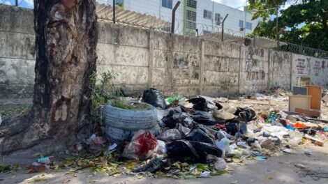 bebe-abandonada-no-recife-foi-encontrada-em-area-que-tem-ratos-e-escorpioes
