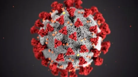 cientistas-descobrem-novo-tipo-de-coronavirus-‘com-potencial-pandemico’-na-china