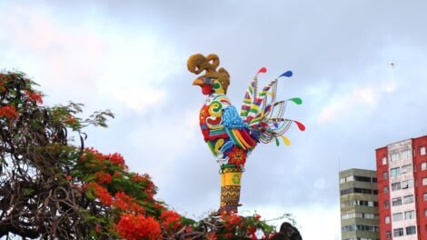 de-pe-na-ponte-duarte-coelho,-galo-gigante-abre-alas-para-o-carnaval-de-pernambuco